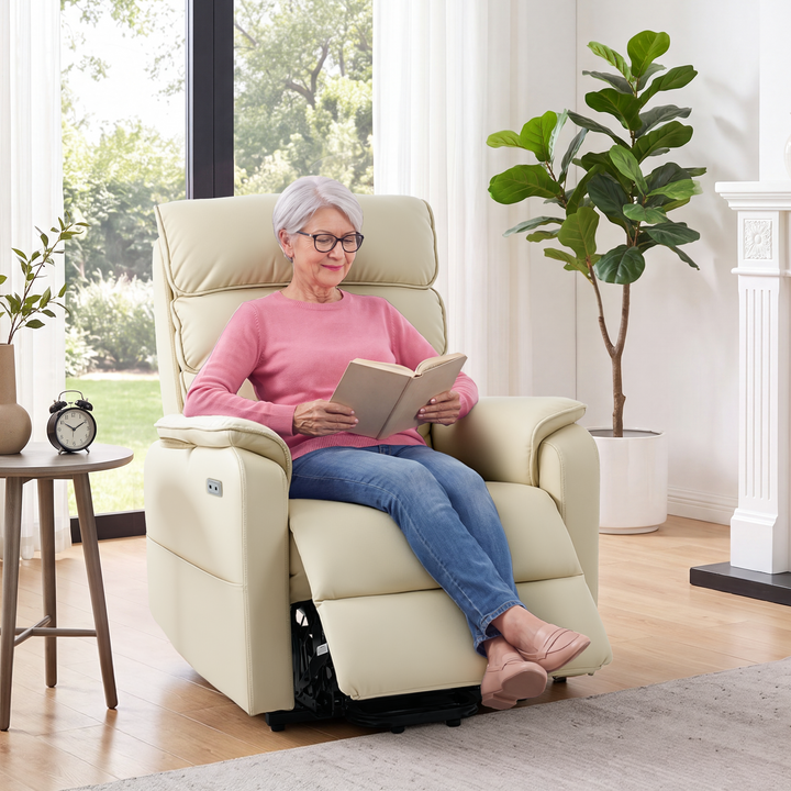 6011 Dual Motor Power Lift Chair